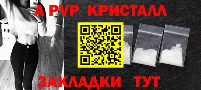 стафф Донской
