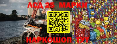 стафф Донской