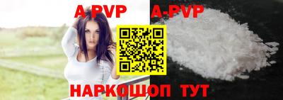 стафф Донской