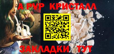 стафф Донской