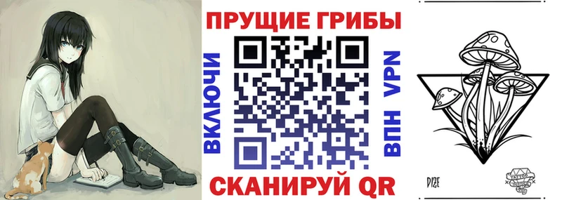 Галлюциногенные грибы Magic Shrooms  blacksprut ССЫЛКА  дарк нет наркотические препараты  Лениногорск 