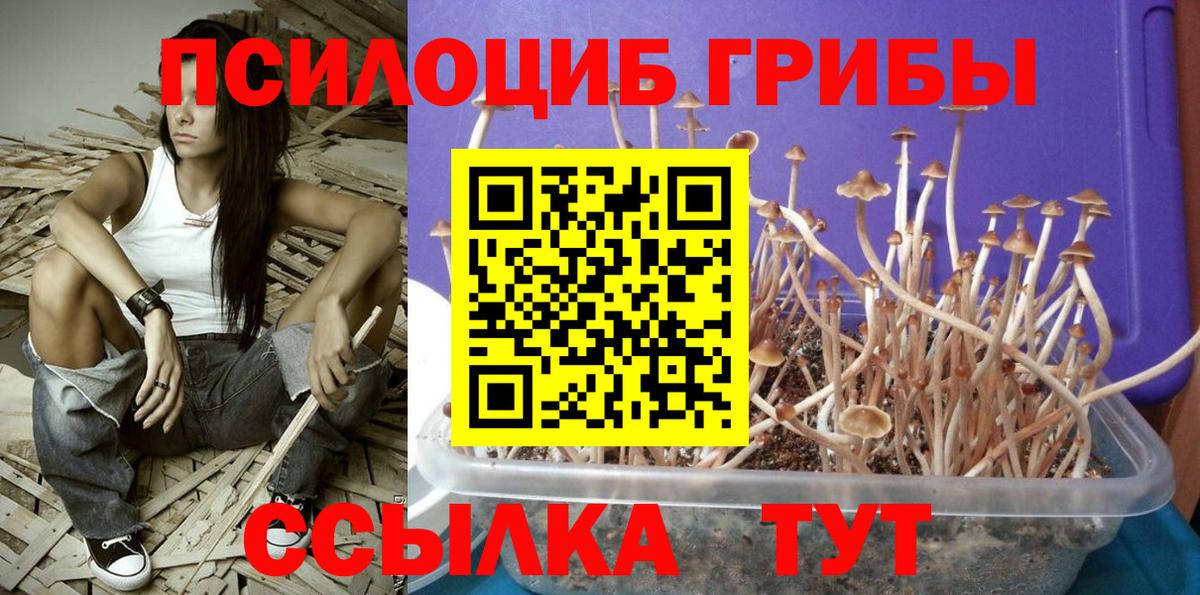 Галлюциногенные грибы мицелий  Галлюциногенные грибы мицелий  Лениногорск  Вход с VPN 