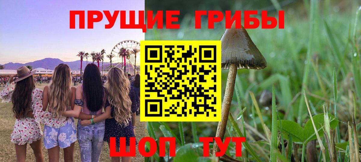 Галлюциногенные грибы GOLDEN TEACHER Лениногорск