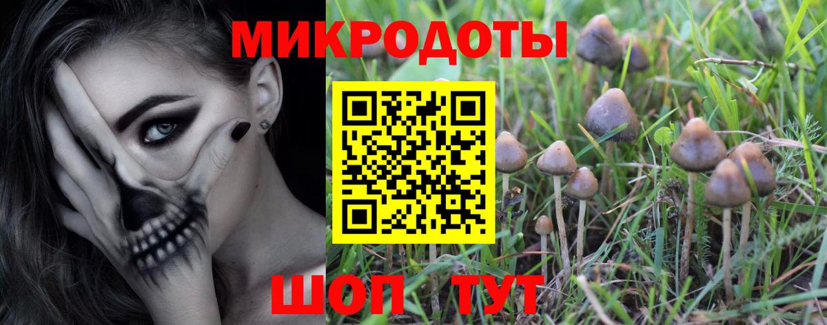 Псилоцибиновые грибы MAGIC MUSHROOMS  Лениногорск  Псилоцибиновые грибы мухоморы 