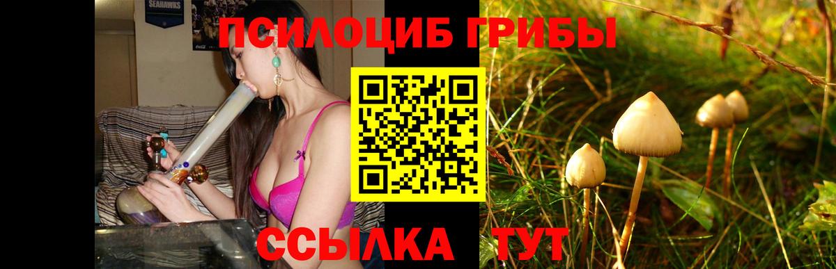 Псилоцибиновые грибы GOLDEN TEACHER Лениногорск